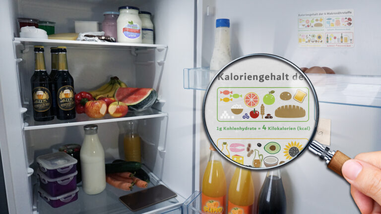 Ein geöffneter Kühlschrank als Ausschnitt aus dem Spiel, mit einer Lupe, die eine Aufgabe zu Makronährstoffen zeigt.